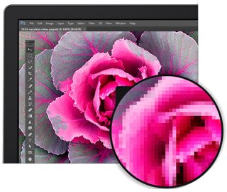 Dell 27 Ultra HD 4K Monitor - P2715Q - Exceptional screen clarity Dell 27 Ultra HD 4K Monitor - P2715Q - Exceptional screen clarity