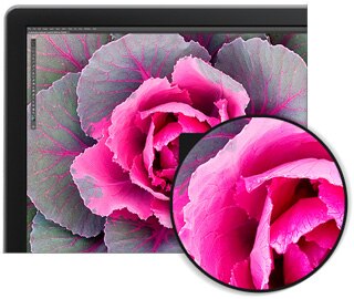 Dell 27 Ultra HD 4K Monitor - P2715Q - Exceptional screen clarity Dell 27 Ultra HD 4K Monitor - P2715Q - Exceptional screen clarity